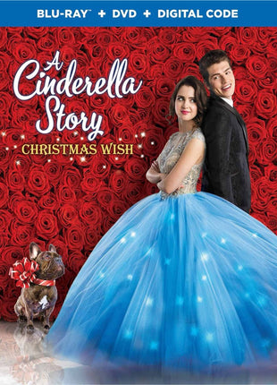 Cinderella Story: Christmas Wish (Blu-ray/DVD)
