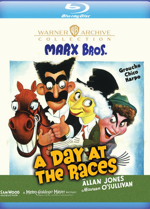 Day At The Races: Warner Archive Collection (Blu-ray)