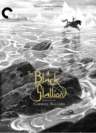 Black Stallion: Criterion Collection (Blu-ray)