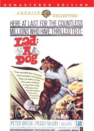 Lad: A Dog: Warner Archive Collection