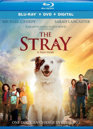 Stray (Blu-ray/DVD)