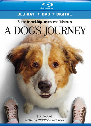 Dog's Journey (Blu-ray/DVD)