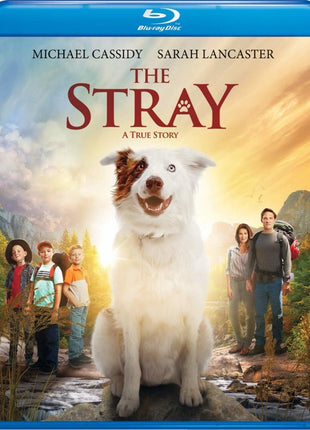 Stray (Blu-ray)(Repackaged)