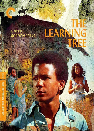 Learning Tree: Criterion Collection