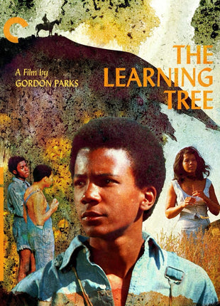 Learning Tree: Criterion Collection (Blu-ray)