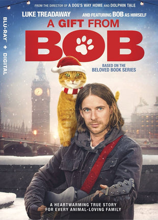 Gift From Bob (Blu-ray)