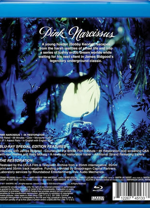 Pink Narcissus (Blu-ray)
