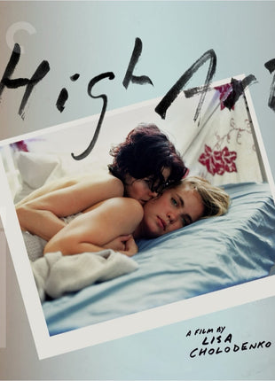 High Art: Criterion Collection (Blu-ray)