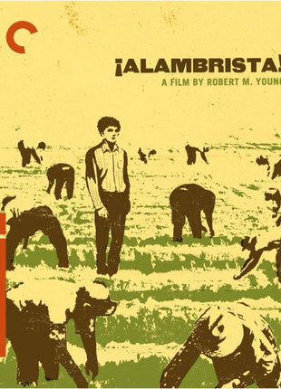 Alambrista!: Criterion Collection (Blu-ray)