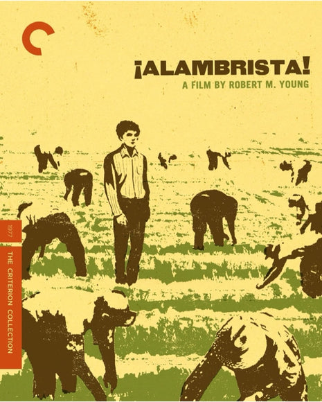 Alambrista!: Criterion Collection (Blu-ray)