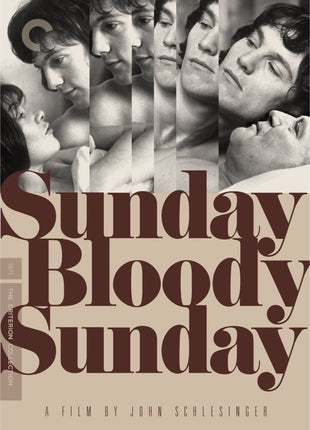 Sunday Bloody Sunday: Criterion Collection