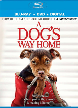 Dog's Way Home (Blu-ray/DVD)