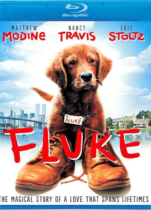 Fluke (Blu-ray)