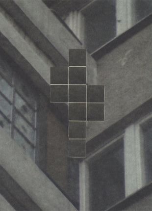 Dekalog: Criterion Collection (Blu-ray)