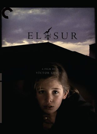 El Sur: Criterion Collection (Blu-ray)