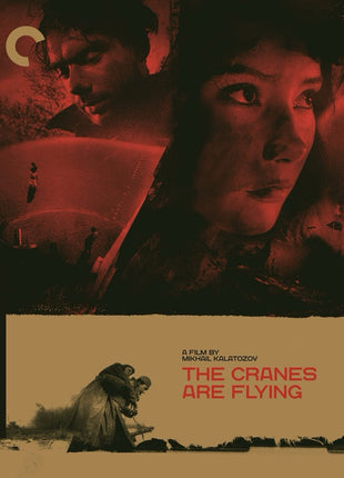Cranes Are Flying: Criterion Collection (Blu-ray)