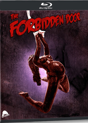 Forbidden Door: Special Edition (Blu-ray)