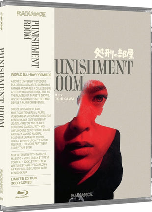 Punishment Room: Limited Edition (Blu-ray)