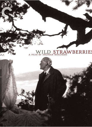 Wild Strawberries: Criterion Collection (Blu-ray)