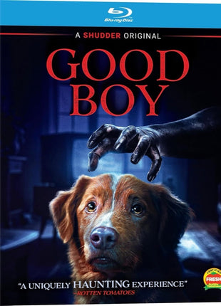 Good Boy (2025)(Blu-ray)