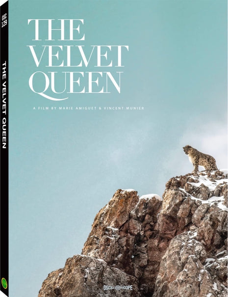 Velvet Queen