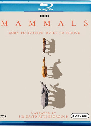 Mammals (Blu-ray)