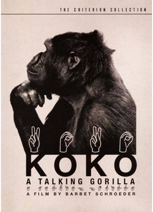 Koko: A Talking Gorilla: Criterion Collection