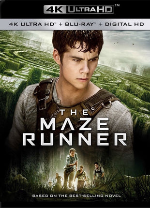 Maze Runner (4K Ultra HD/Blu-ray)