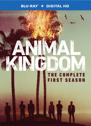 Animal Kingdom (2016): The Complete First Season (Blu-ray)