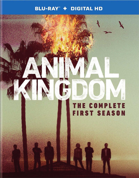Animal Kingdom (2016): The Complete First Season (Blu-ray)