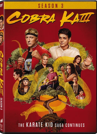 Cobra Kai: Seasons 3