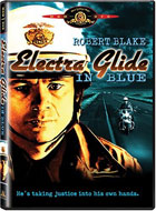 Electra Glide In Blue