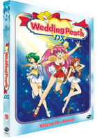 Wedding Peach Vol.10: DX