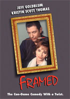 Framed (1990)