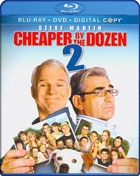 Cheaper By The Dozen 2 (Blu-ray/DVD)