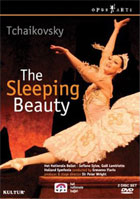 Tchaikovsky: The Sleeping Beauty: Gael Lambiotte / Sonfiane Sylve: Het Nationale Ballet