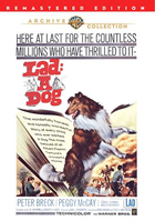 Lad: A Dog: Warner Archive Collection
