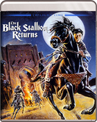 Black Stallion Returns: The Limited Edition Series (Blu-ray)