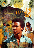 Learning Tree: Criterion Collection