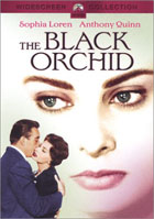 Black Orchid