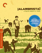 Alambrista!: Criterion Collection (Blu-ray)