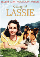 Courage Of Lassie