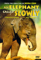 Elephant Called Slowly