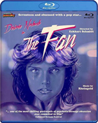 Fan (Blu-ray/DVD)