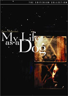 My Life As A Dog: Criterion Collection