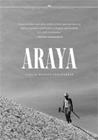 Araya