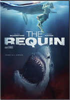 Requin