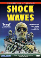 Shock Waves