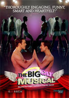 Big Gay Musical