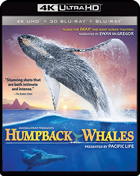 IMAX: Humpback Whales (4K Ultra HD/Blu-ray 3D/Blu-ray)